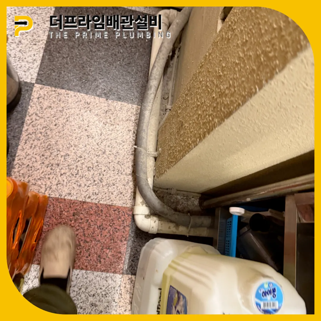 식당배관역류