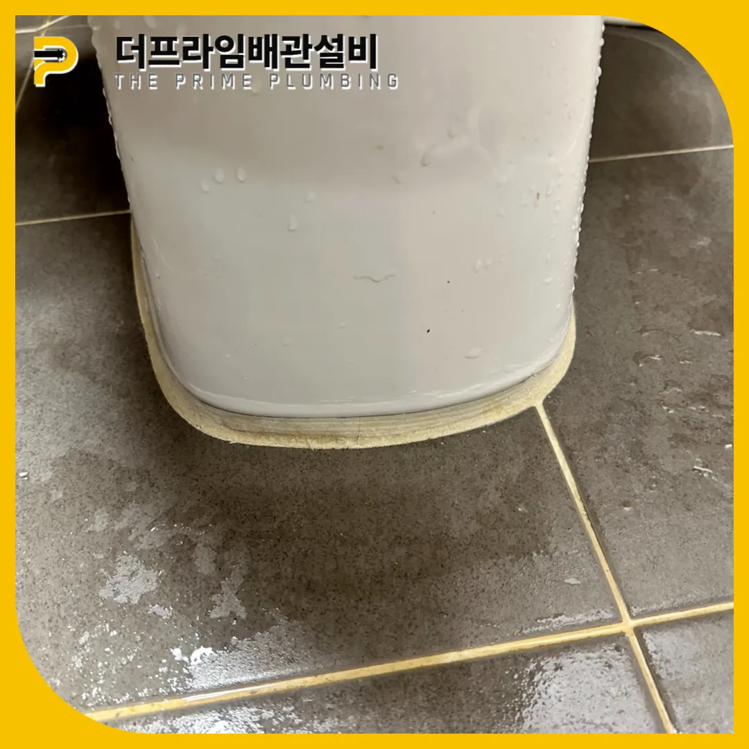 전문적인시공