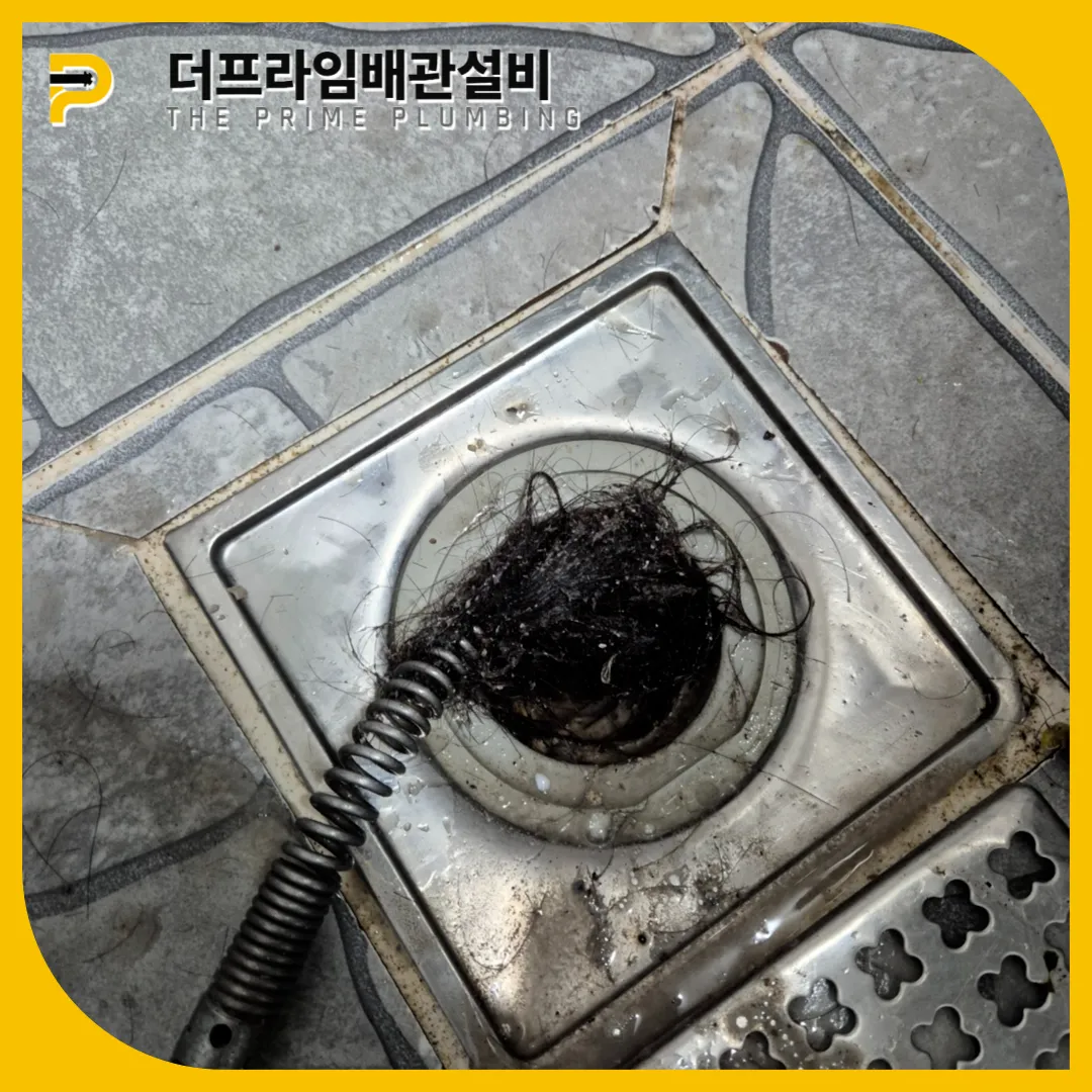 머리카락제거