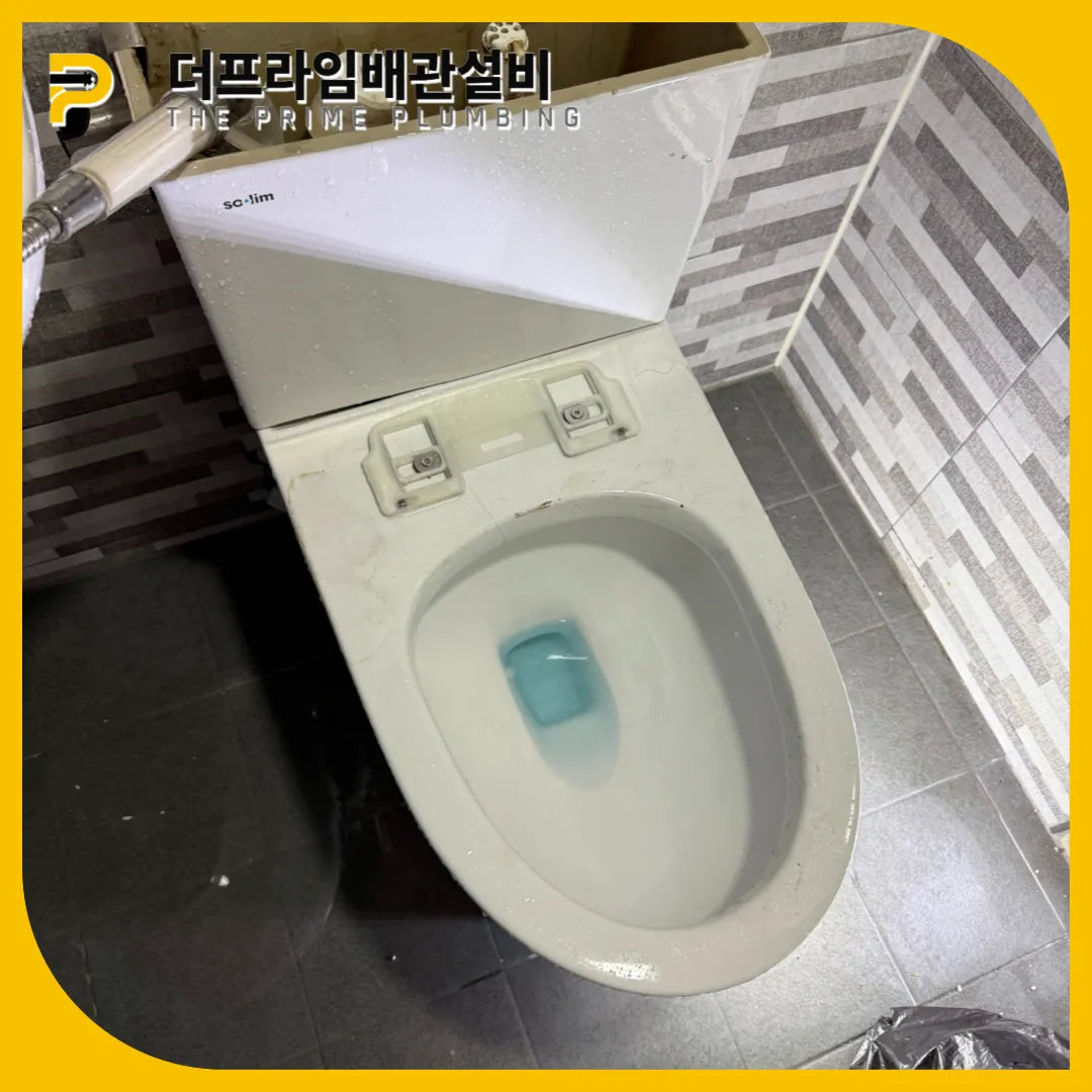 변기막힘