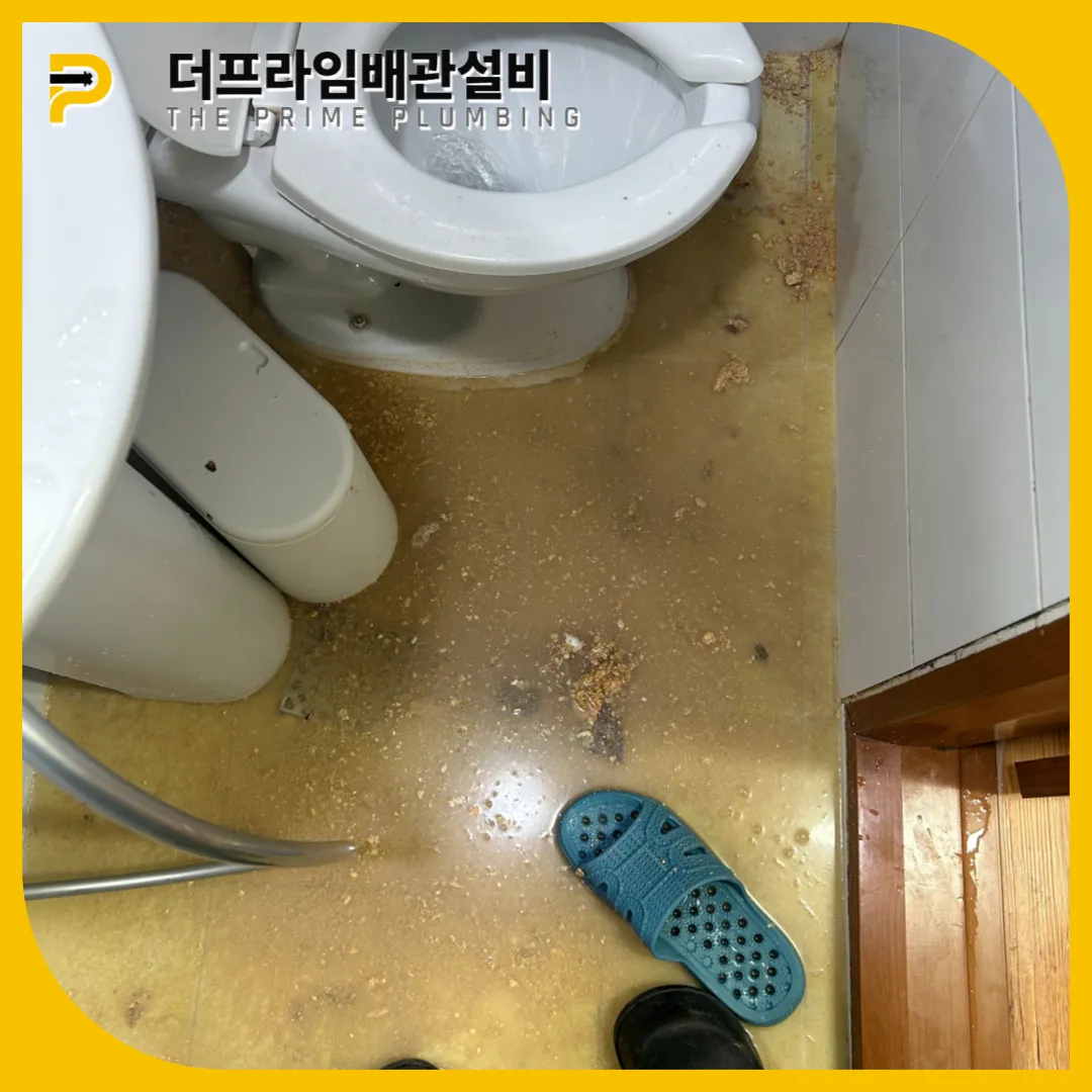 화장실역류