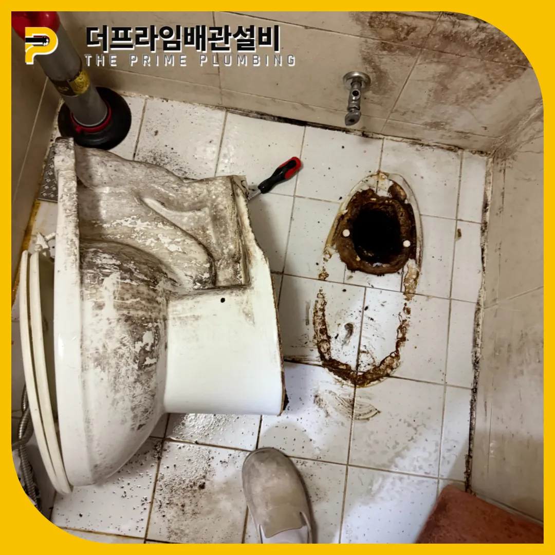 변기탈거전문