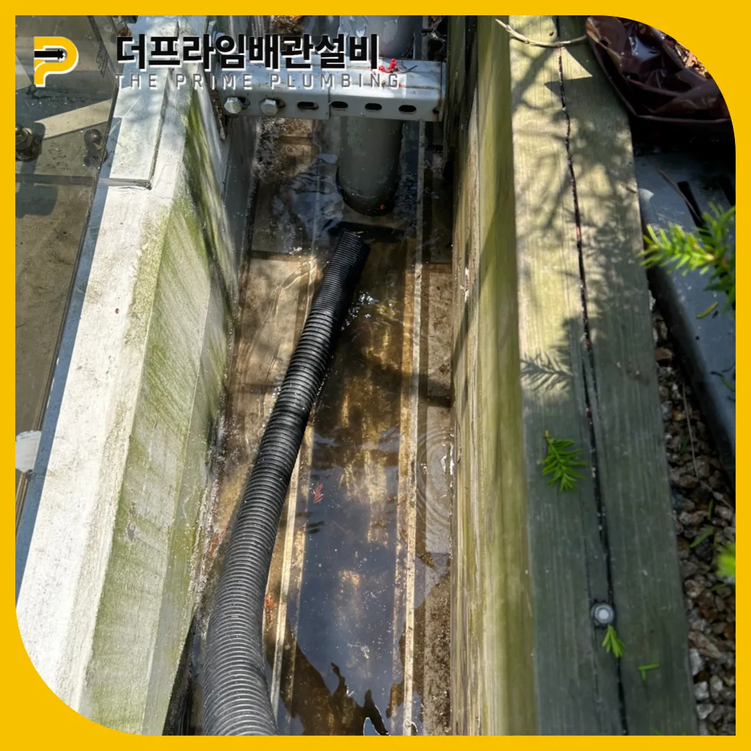 공원하수구역류