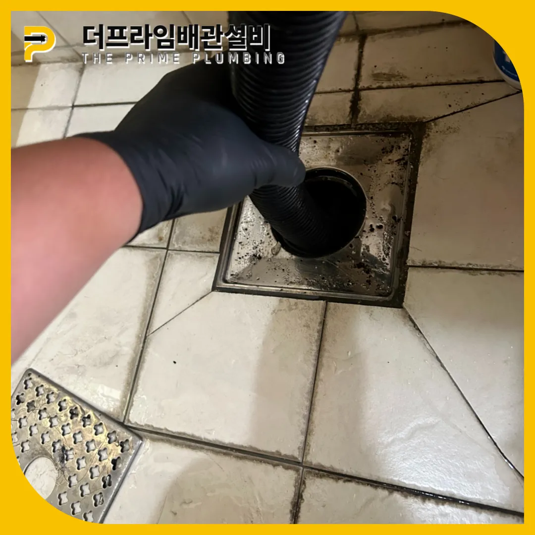 머리카락제거