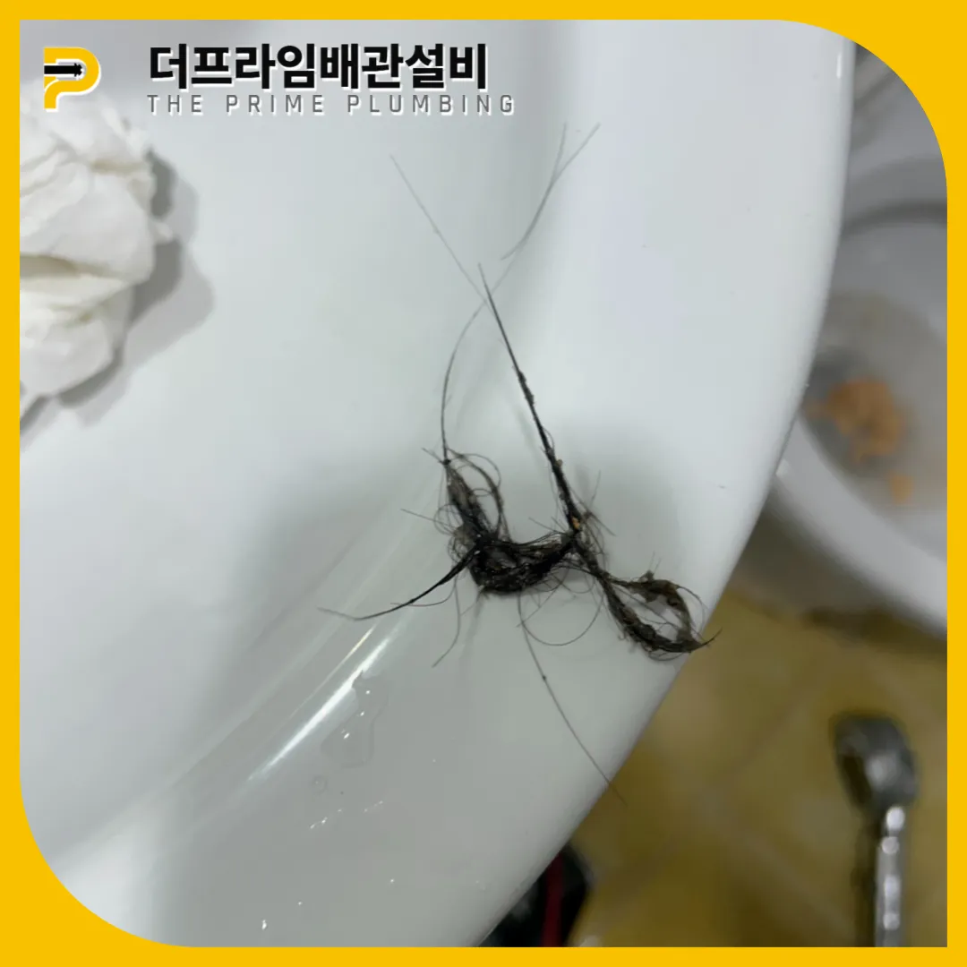 성남위례화장실역류