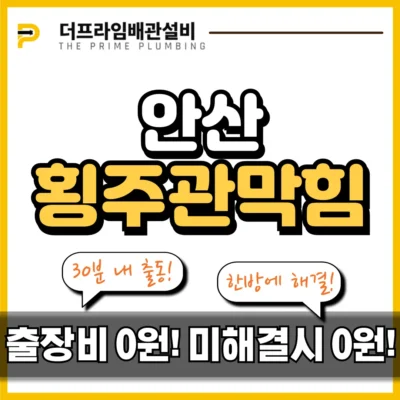 안산횡주관막힘