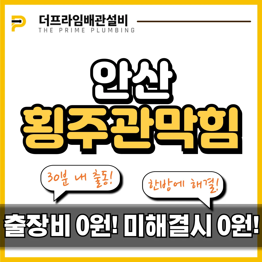 안산횡주관막힘