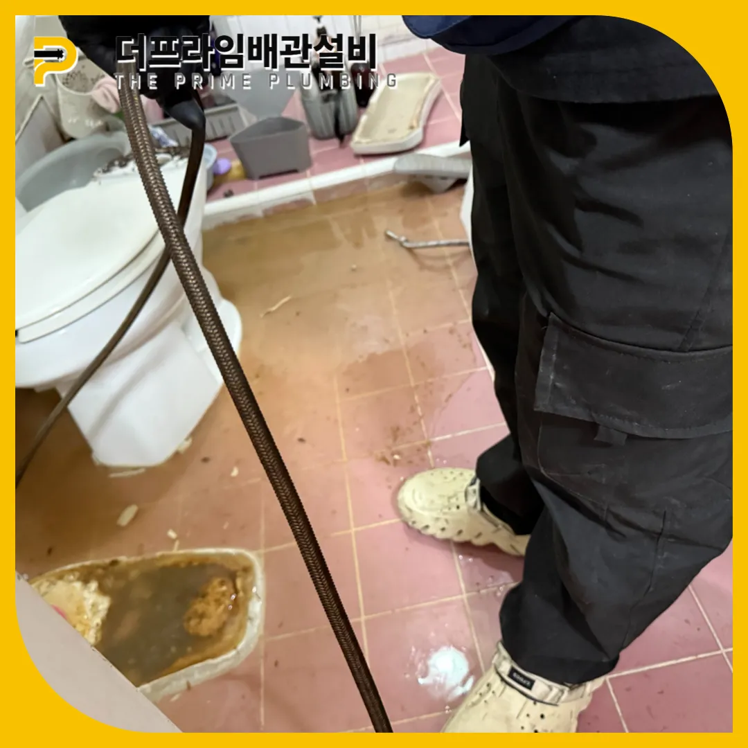 변기역류