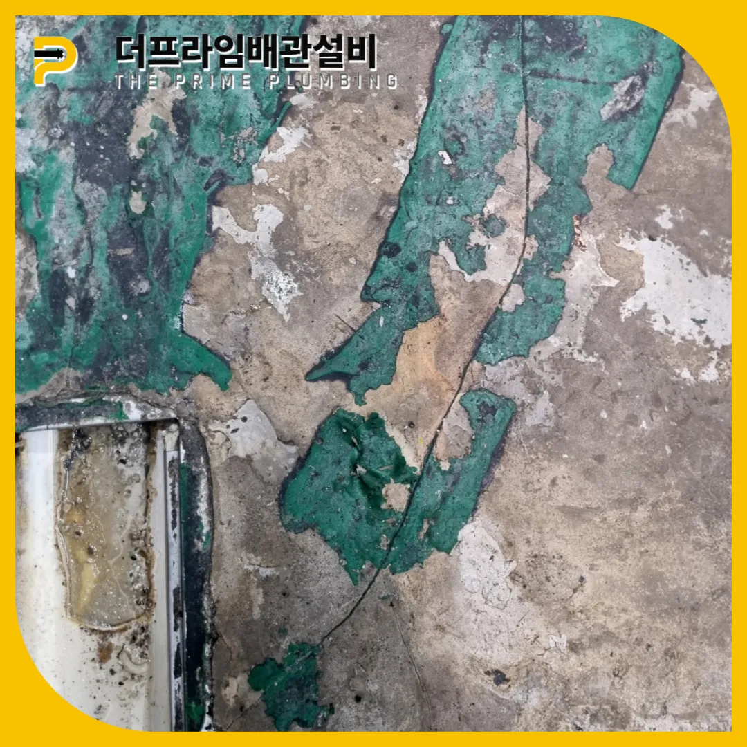 식당하수구막힘