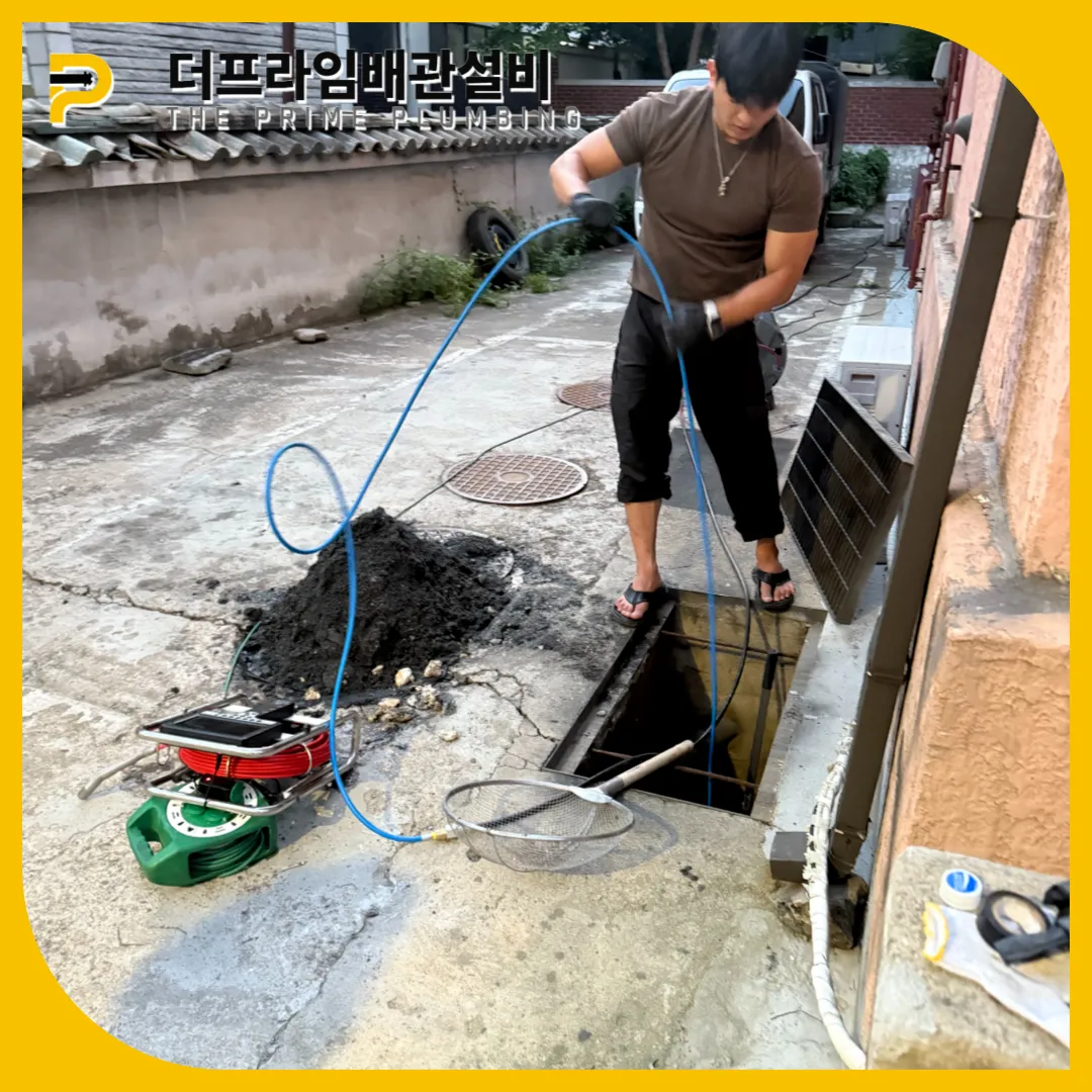 이물질제거
