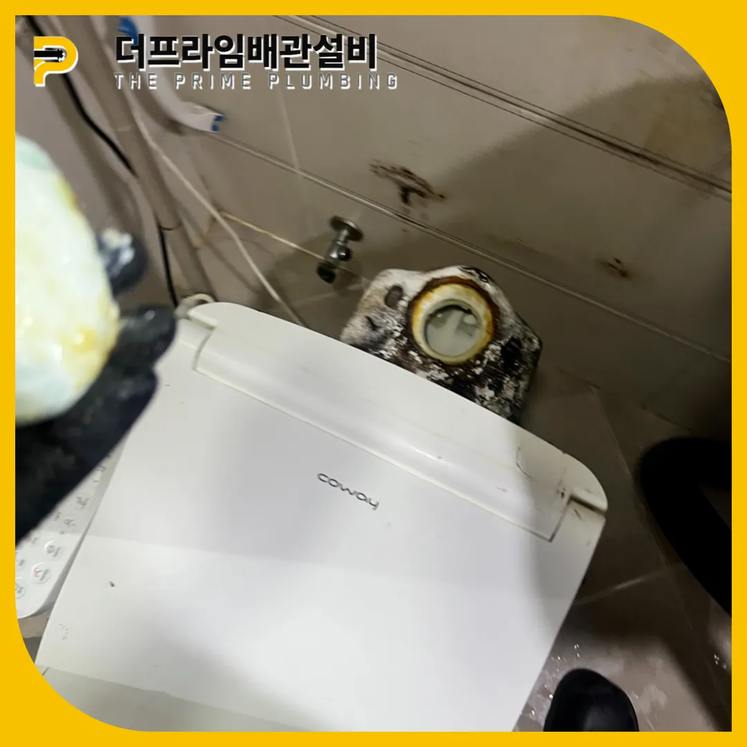 강화군변기막힘