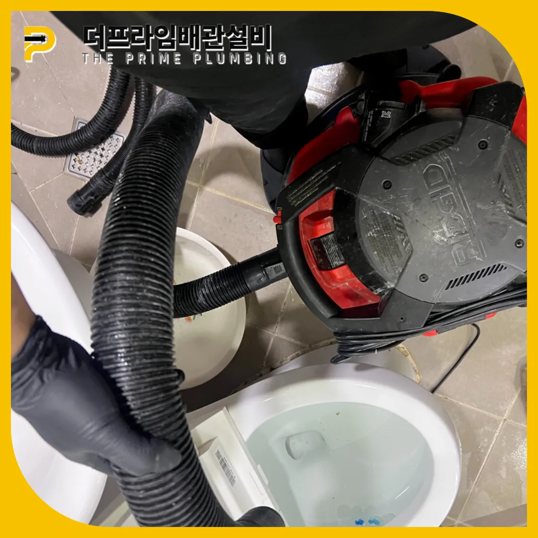 이물질제거