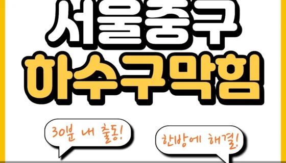 서울중구하수구막힘