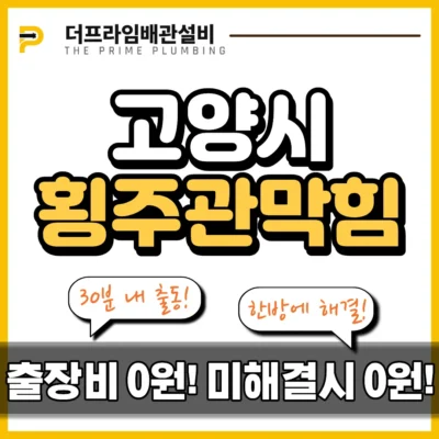 고양시횡주관막힘