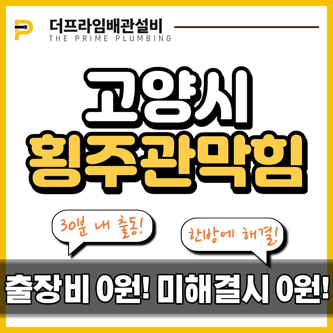 고양시횡주관막힘