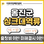 옹진군싱크대역류