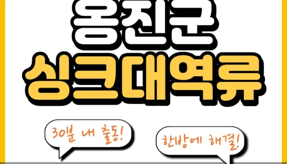 옹진군싱크대역류
