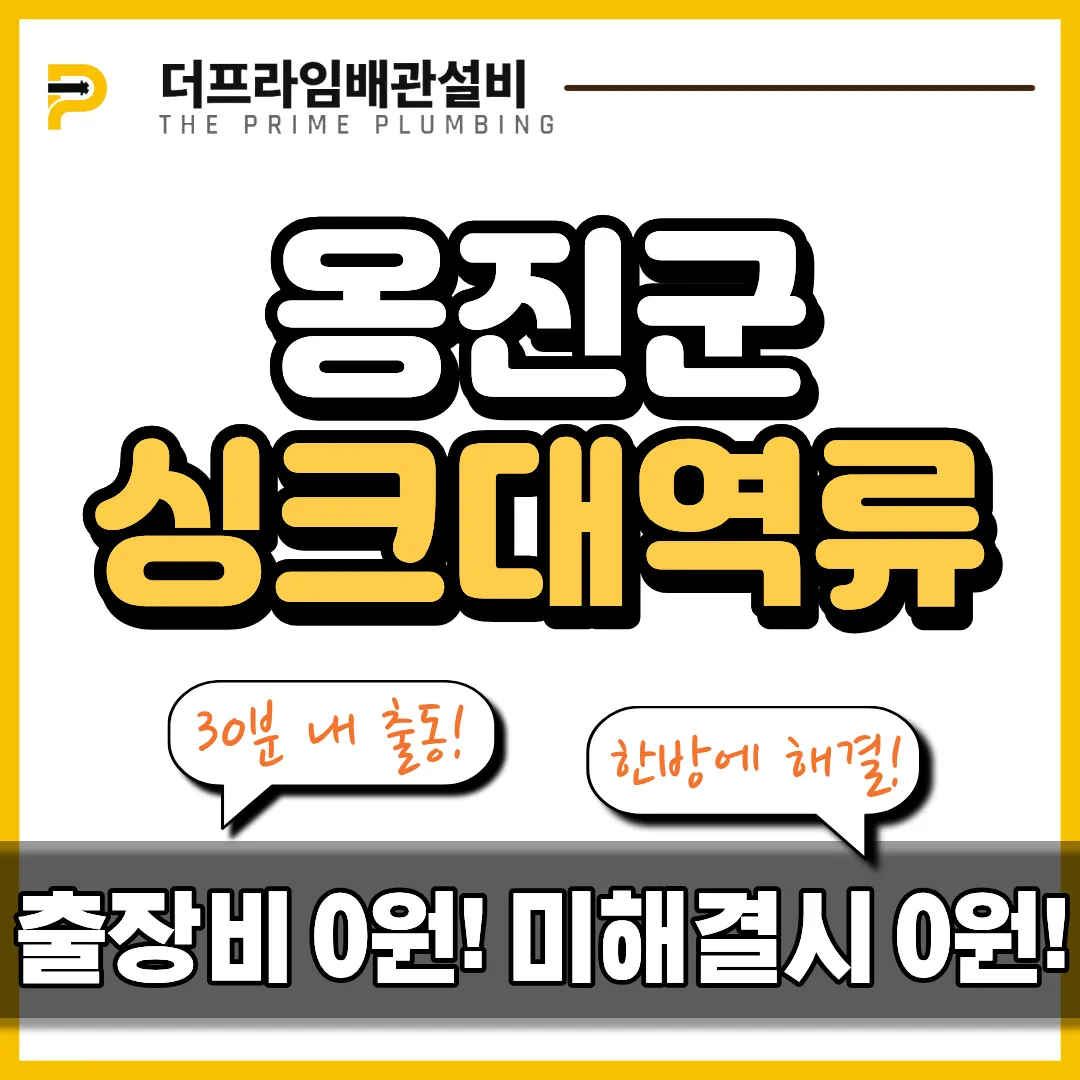 옹진군싱크대역류