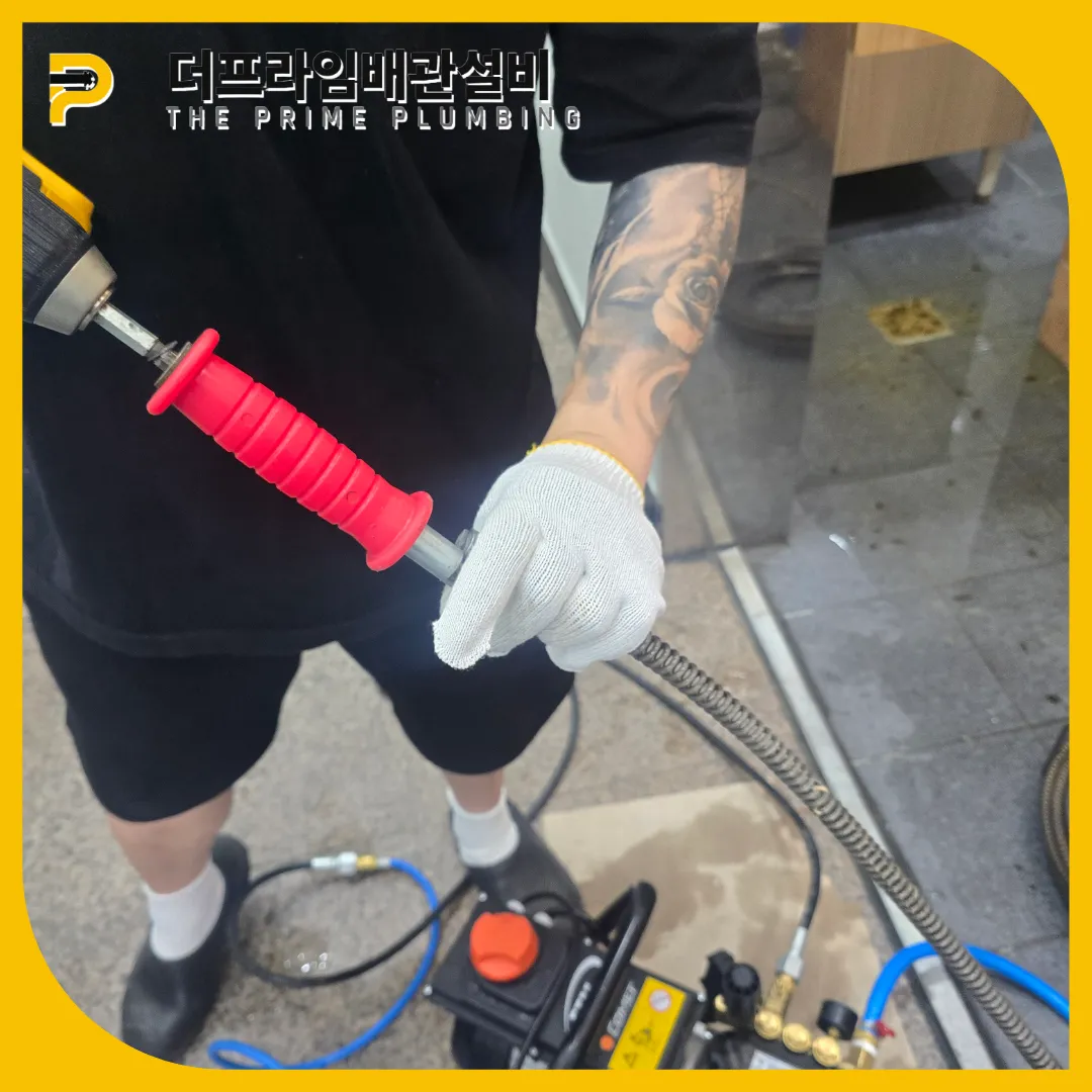 변기역류