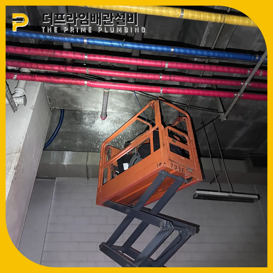 횡주관막힘