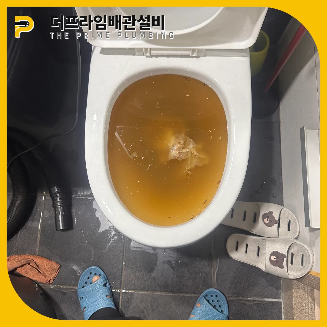 변기막힘