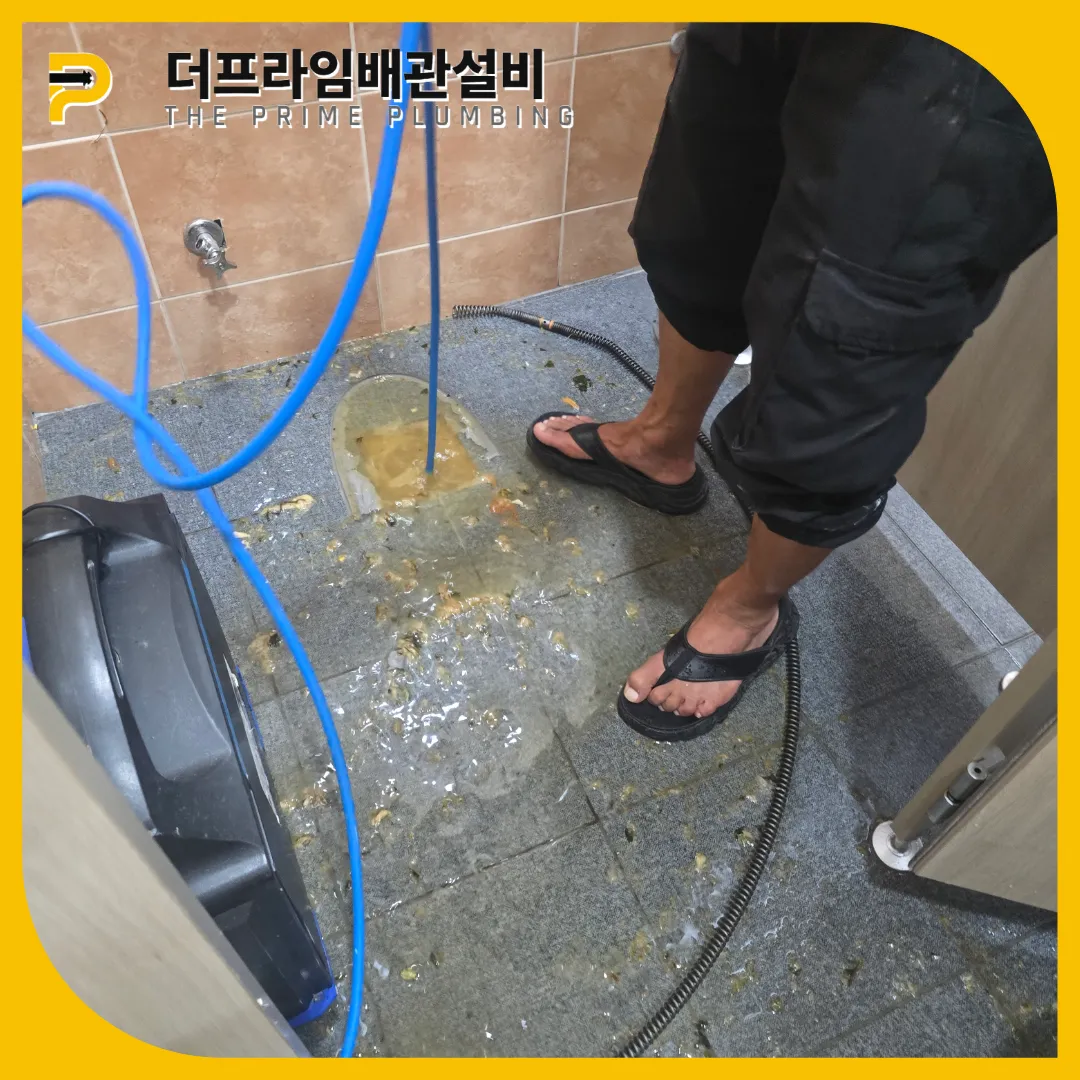 노원구변기역류