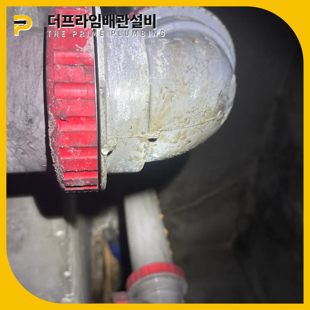 안양시횡주관막힘