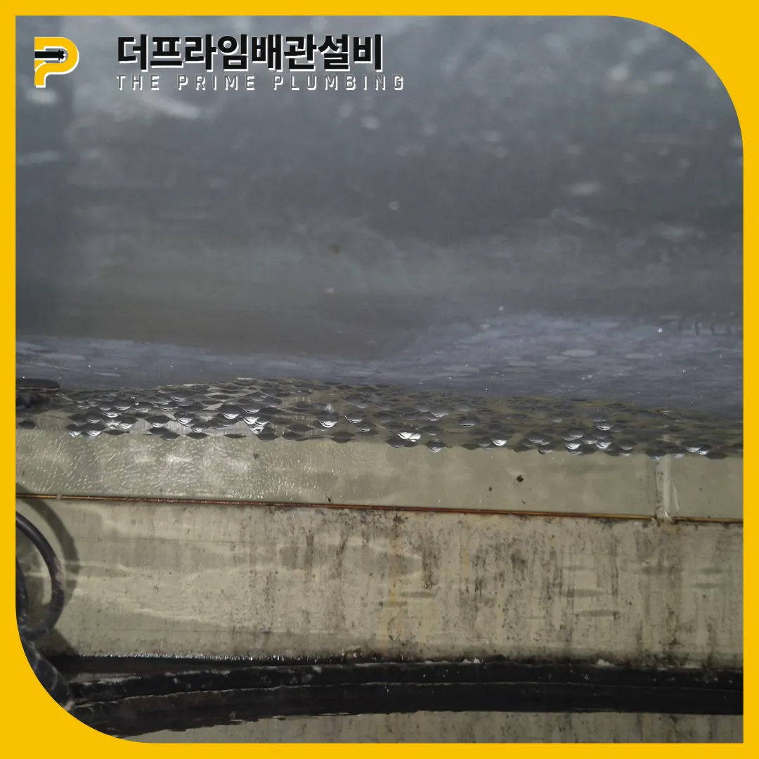 성동구배관역류