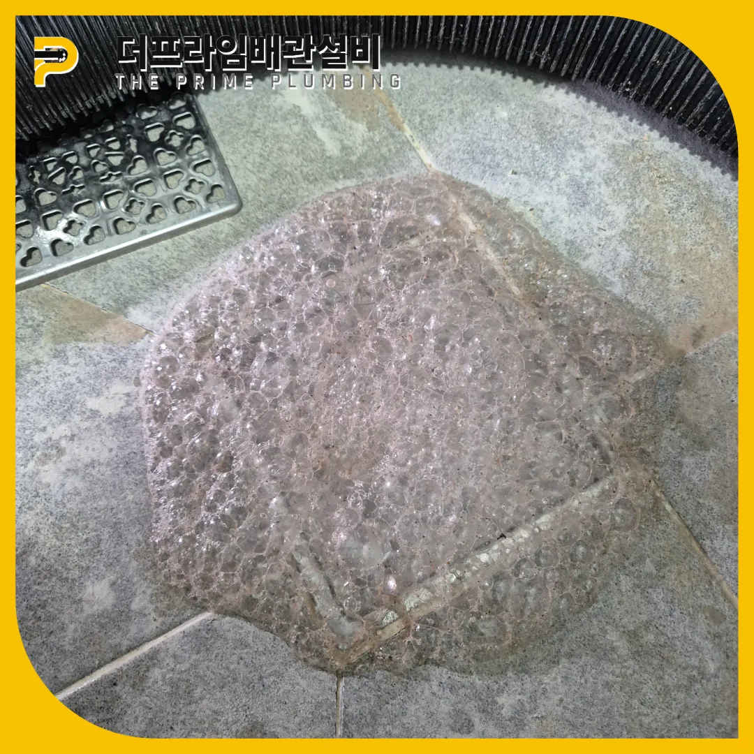 배수구역류