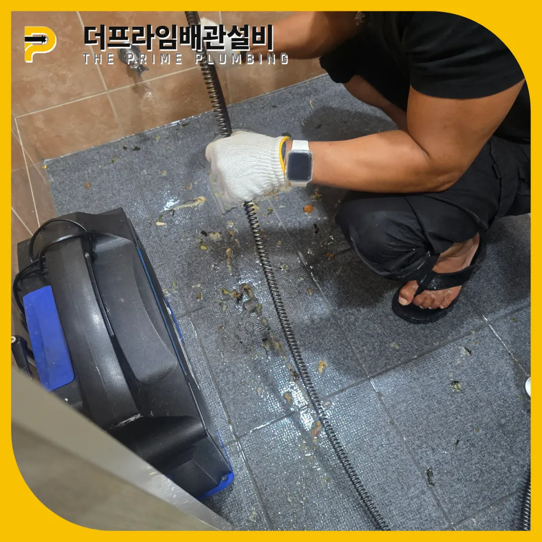 노원구변기역류