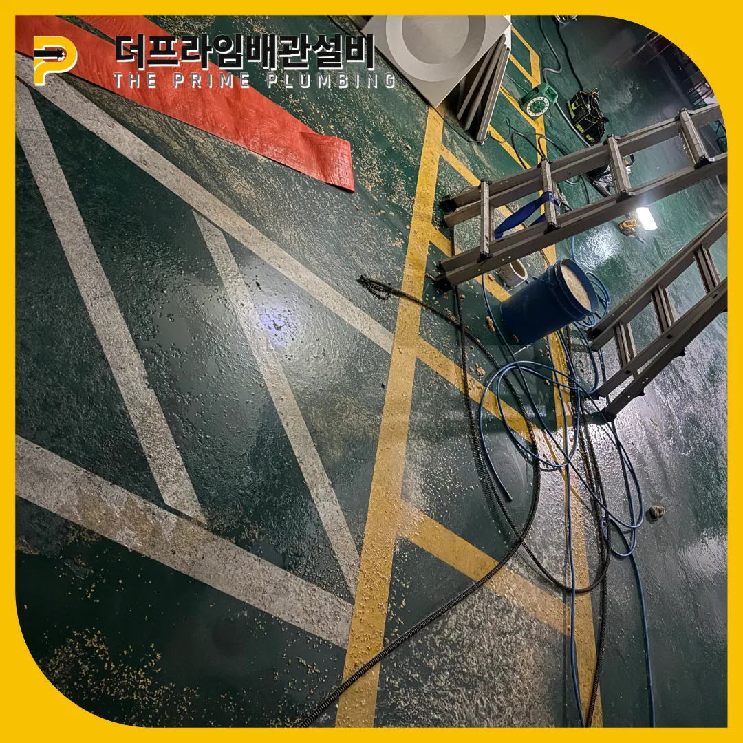 고양시횡주관막힘