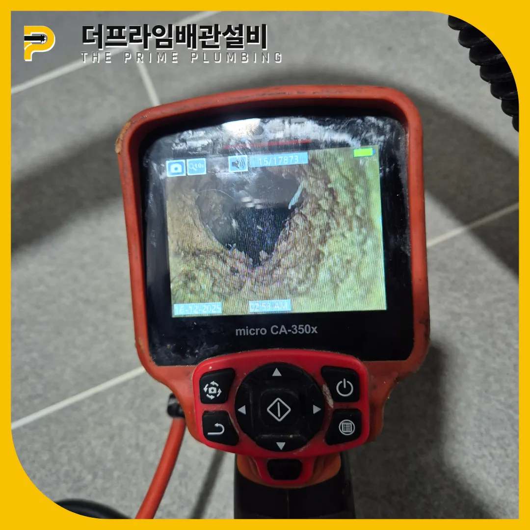 비누머리카락