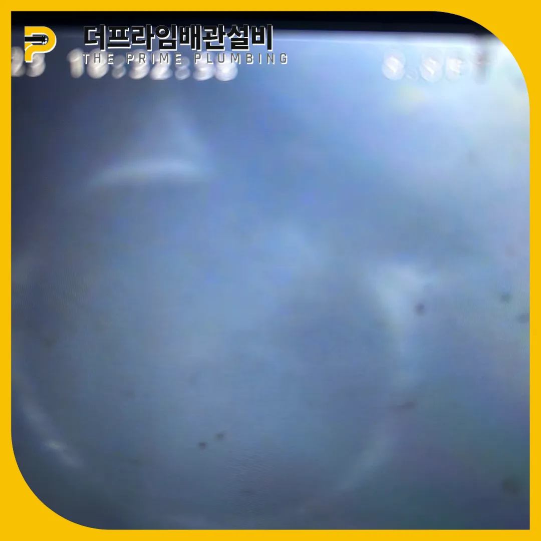 내시경점검