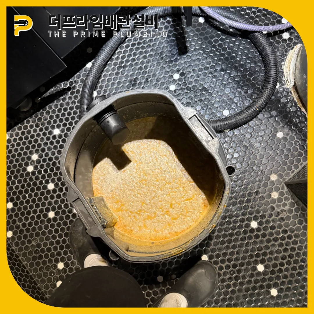 배관스케일링
