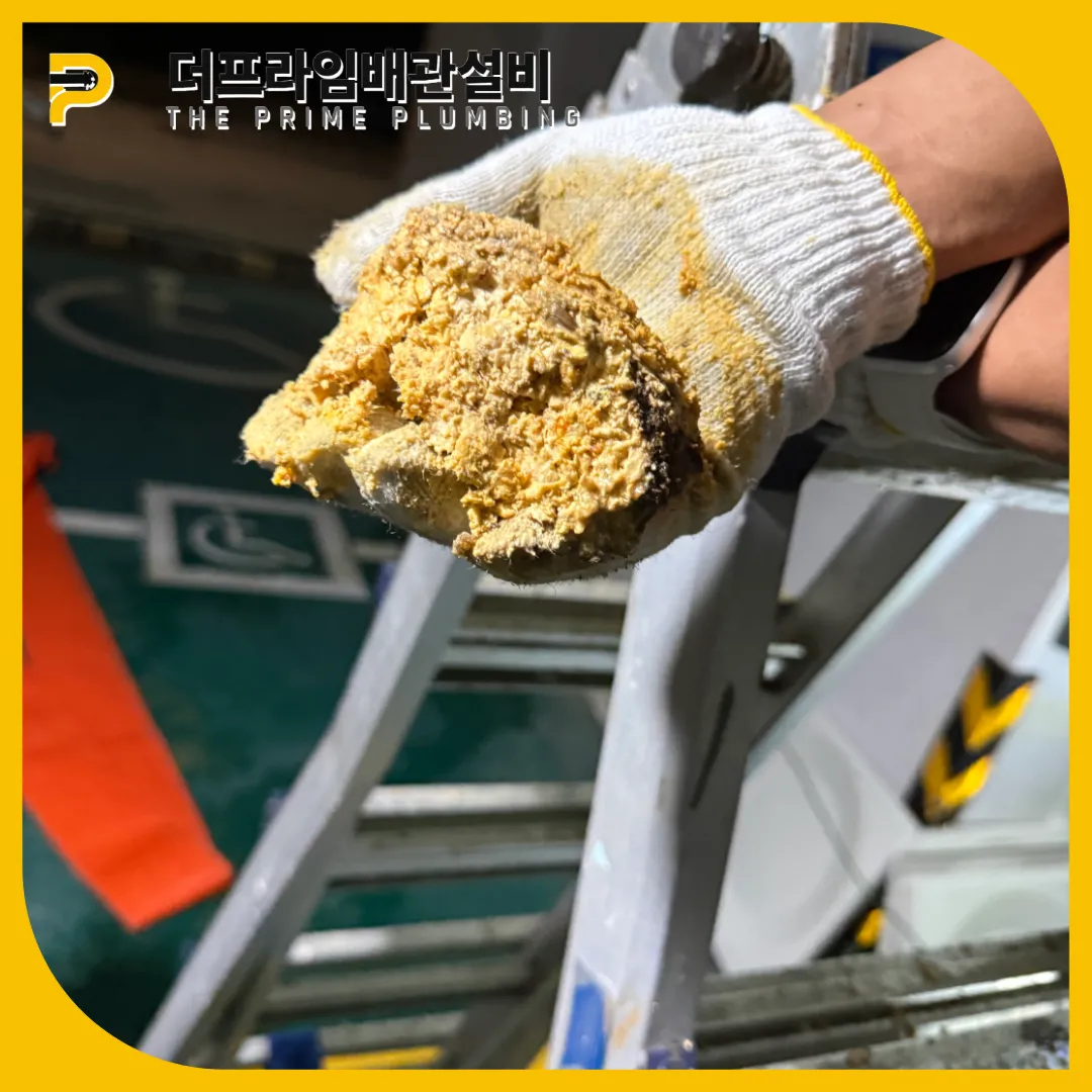 횡주관스케일링