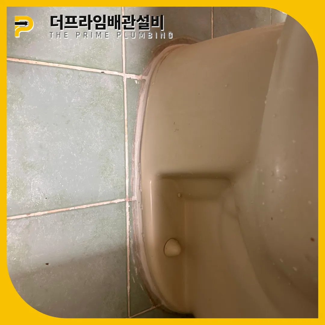칫솔빼는법
