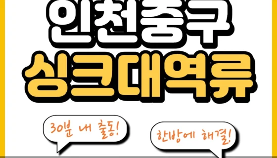 인천중구싱크대역류