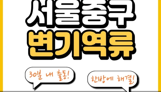 서울중구변기역류