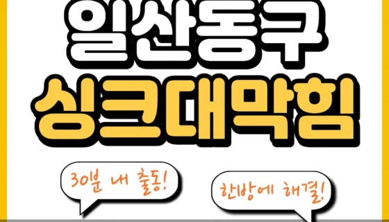 일산동구싱크대막힘