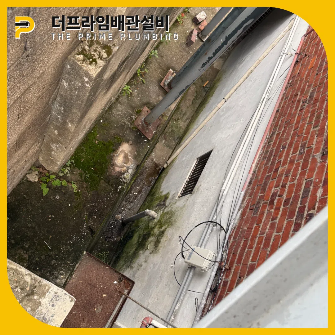배관역류