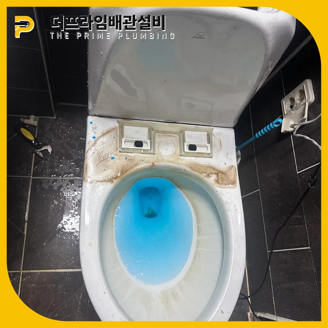 변기역류