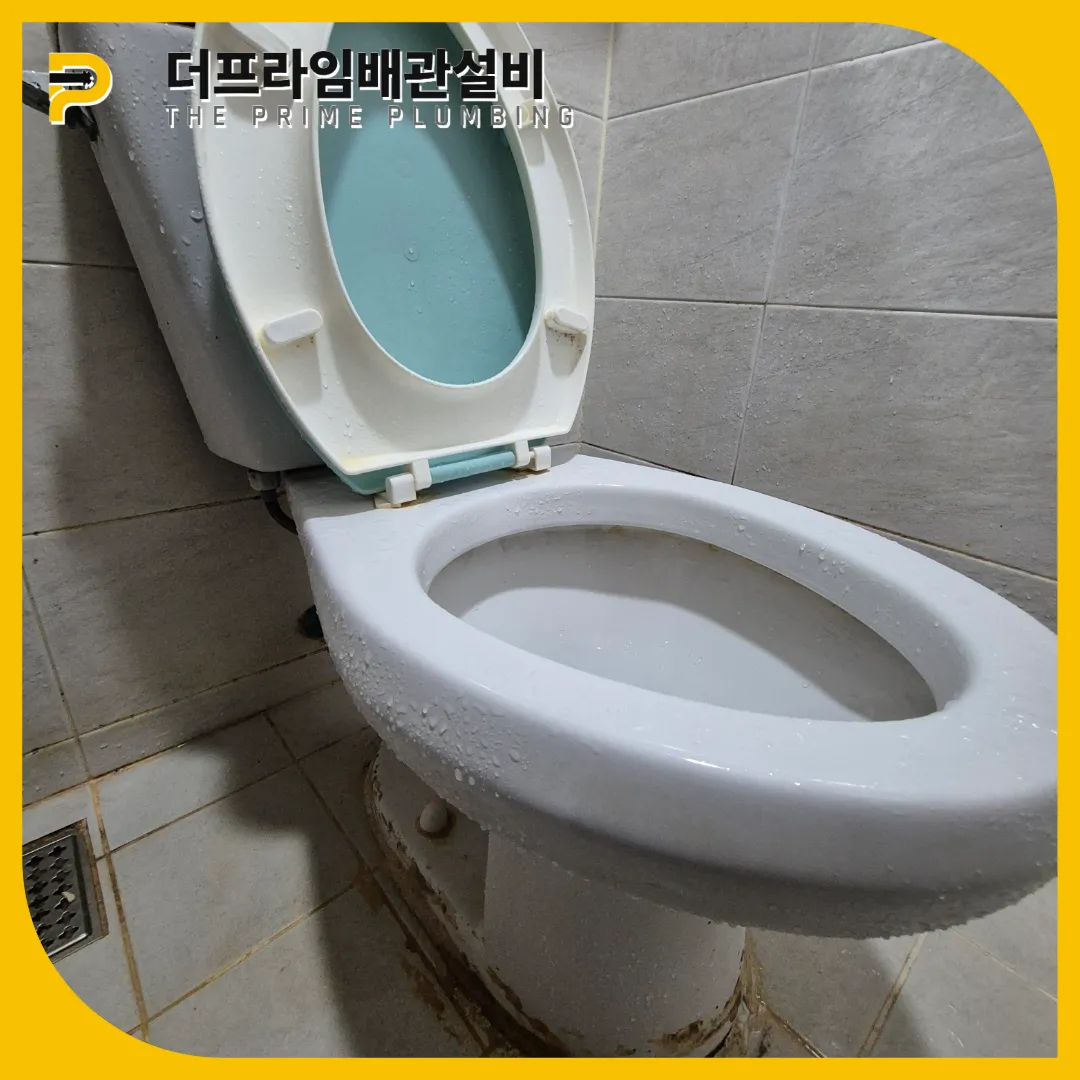 변기막힘