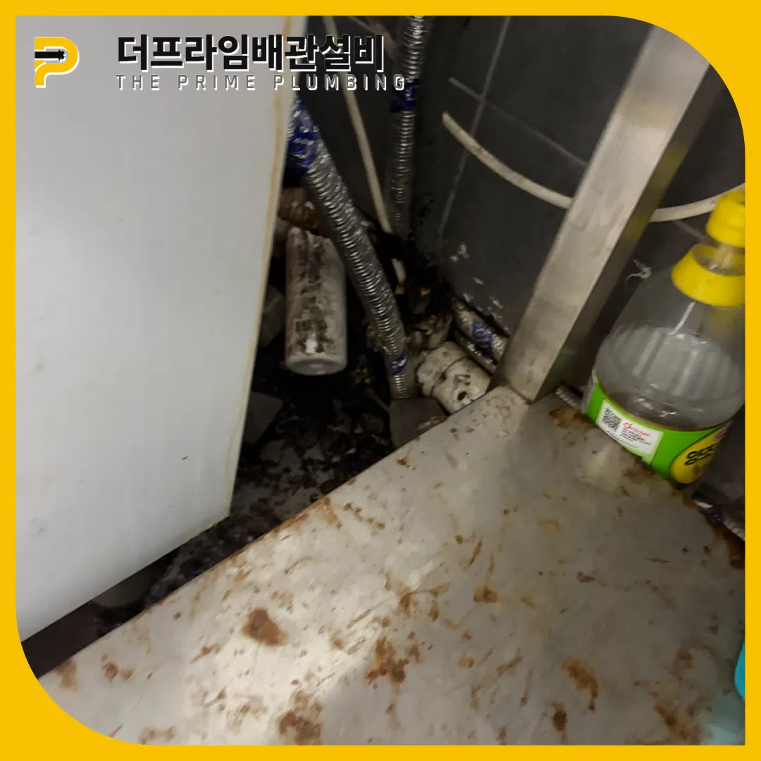 전문장비보유업체