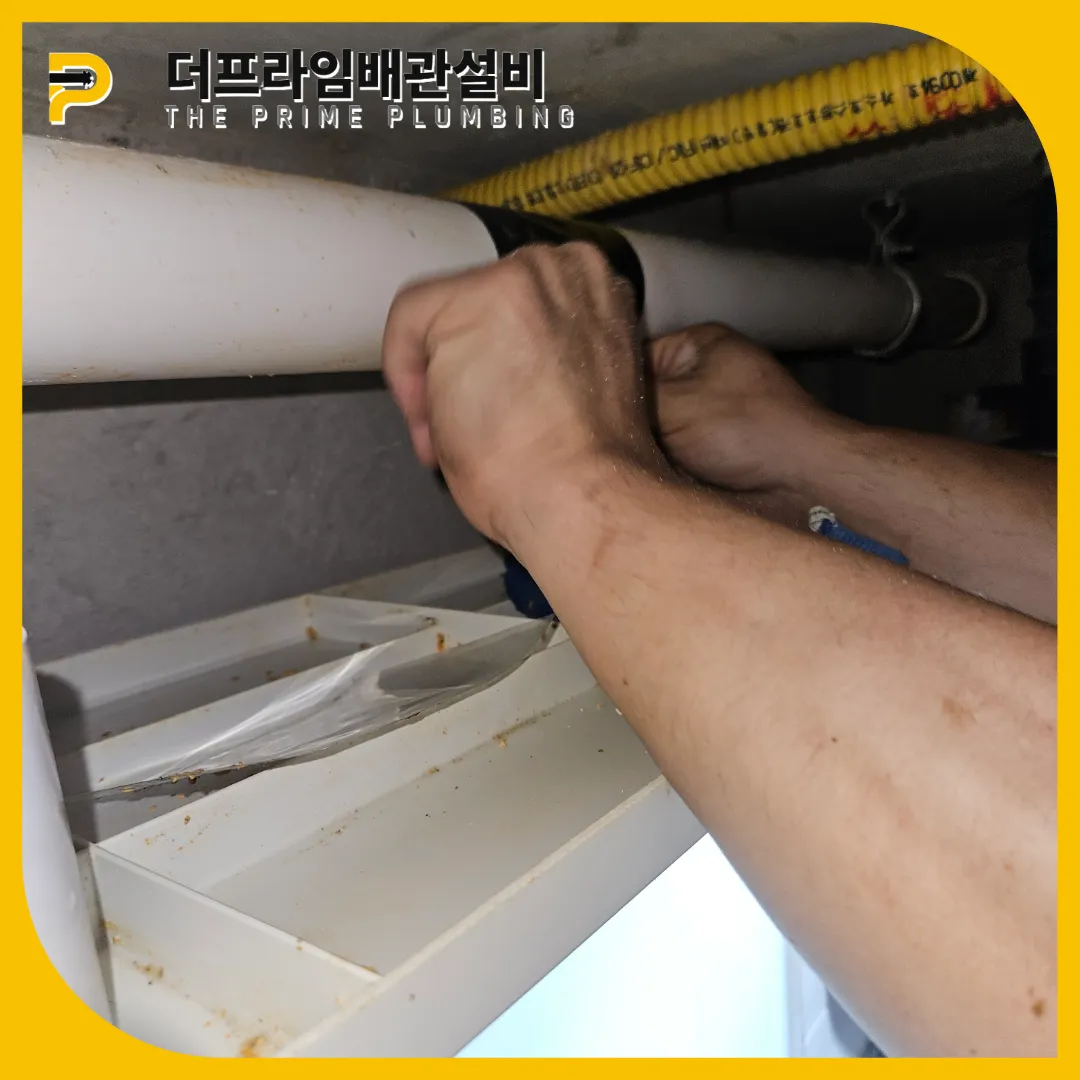 성남시횡주관막힘