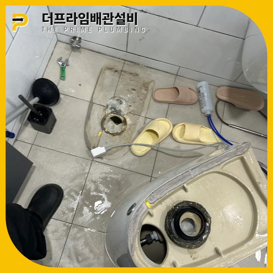 장난감제거