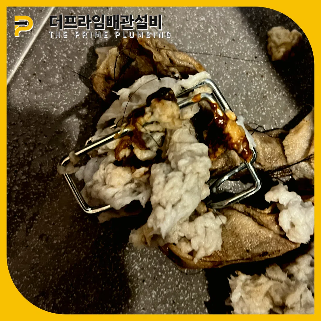 휴지막힘