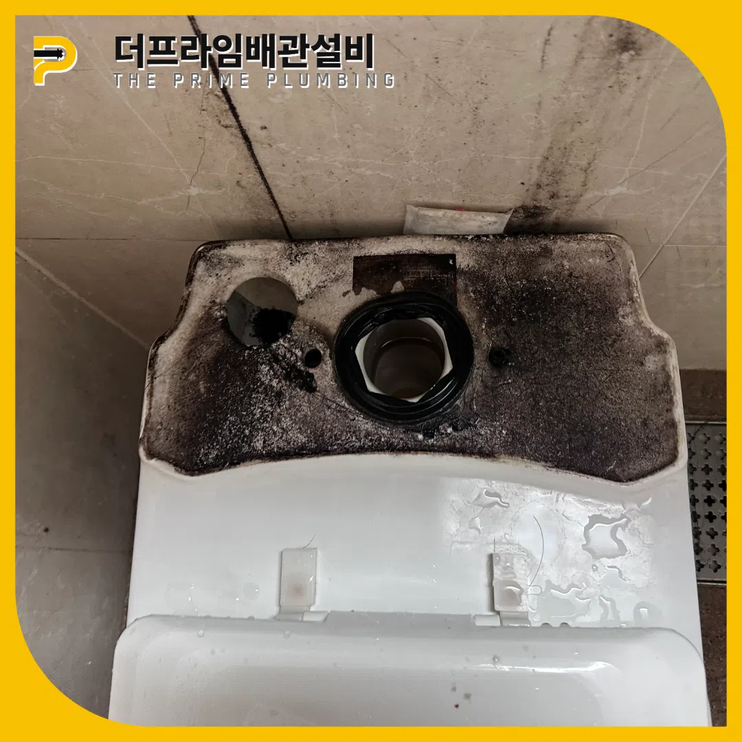 공용화장실막힘