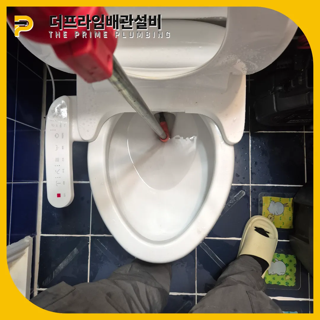 대변막힘해결