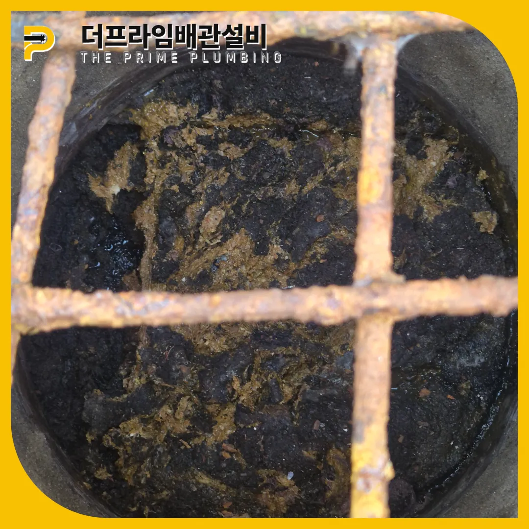 하수구이물질