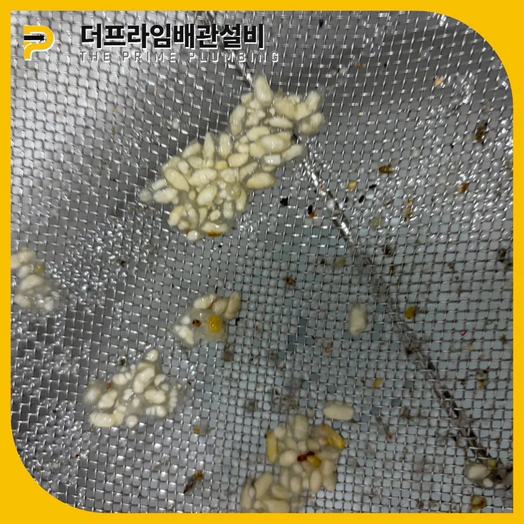 강남싱크대막힘